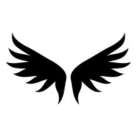 Ikaros Industries, Inc