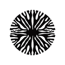Rhizome Research logo