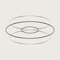 Torus logo